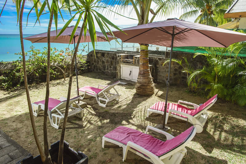 Jardin avec chaises longues Jardin avec chaises longues