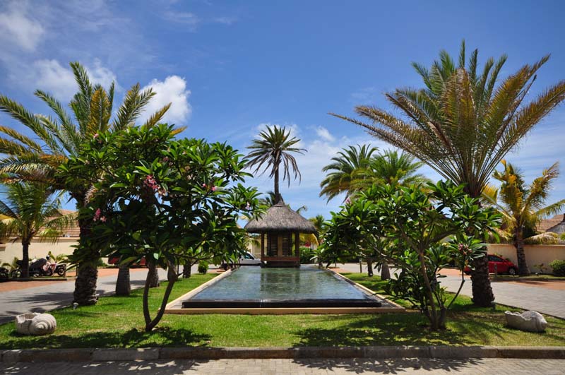 Jardin Jardin