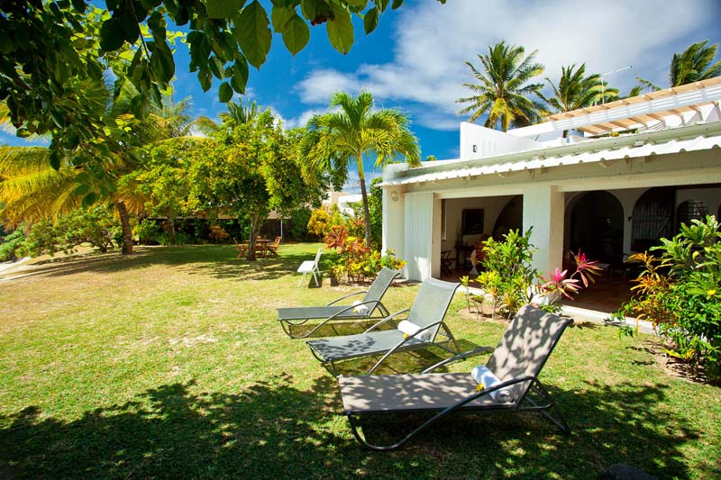 Jardin Jardin