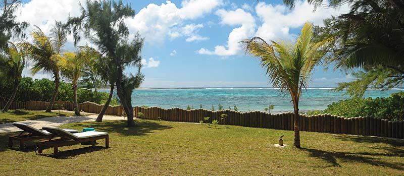 Jardin Jardin